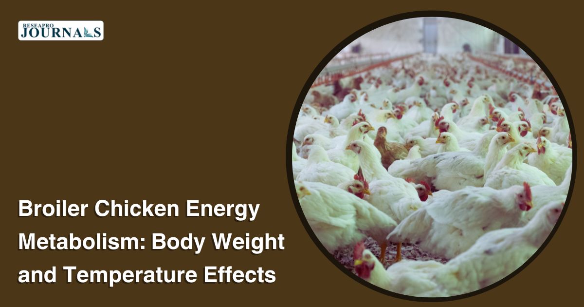 Broiler Chicken Energy Metabolism: Body Weight and Temperature Effects