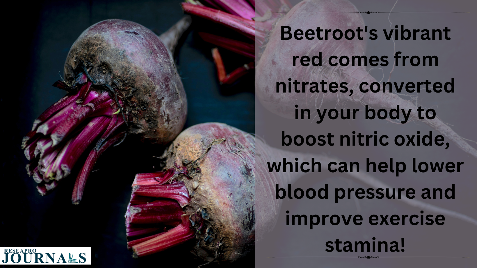Nature’s workout buddy- Beetroot’s nitrates boost stamina & improve blood flow