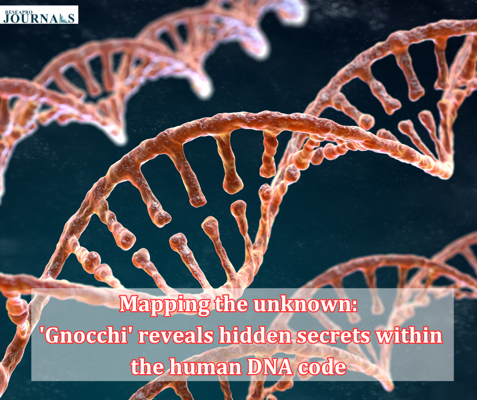 Mapping the unknown: ‘Gnocchi’ reveals hidden secrets within the human DNA code