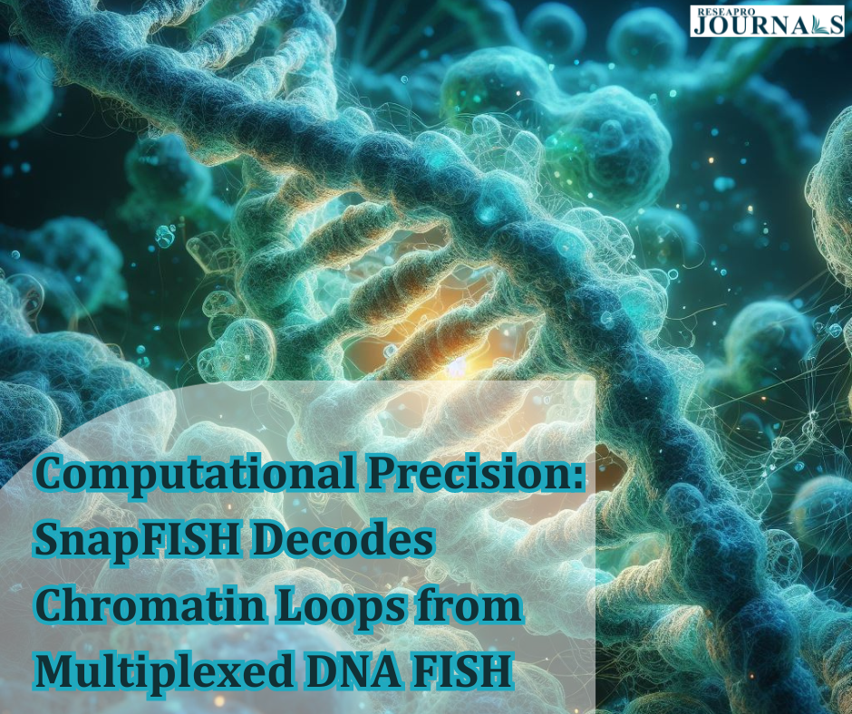 Computational Precision: SnapFISH Decodes Chromatin Loops from Multiplexed DNA FISH