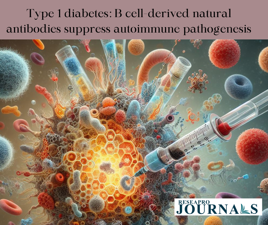 Type 1 diabetes: B cell-derived natural antibodies suppress autoimmune pathogenesis