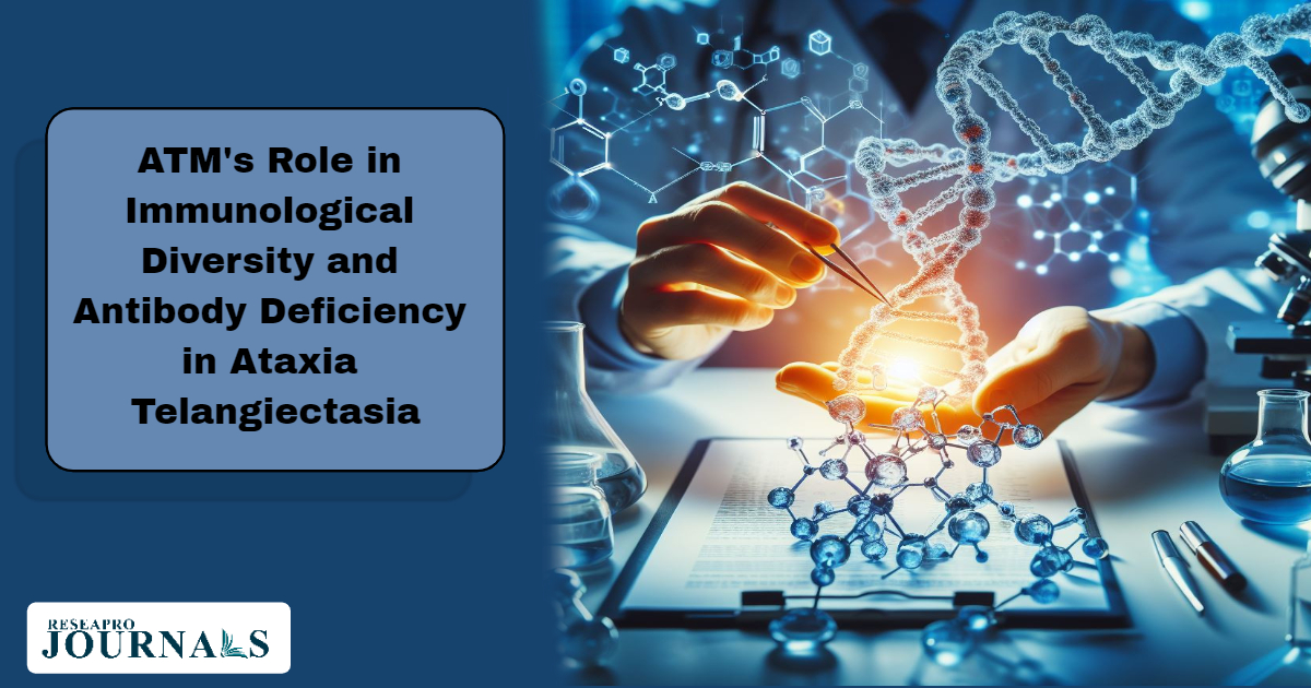 ATM’s Role in Immunological Diversity and Antibody Deficiency in Ataxia Telangiectasia