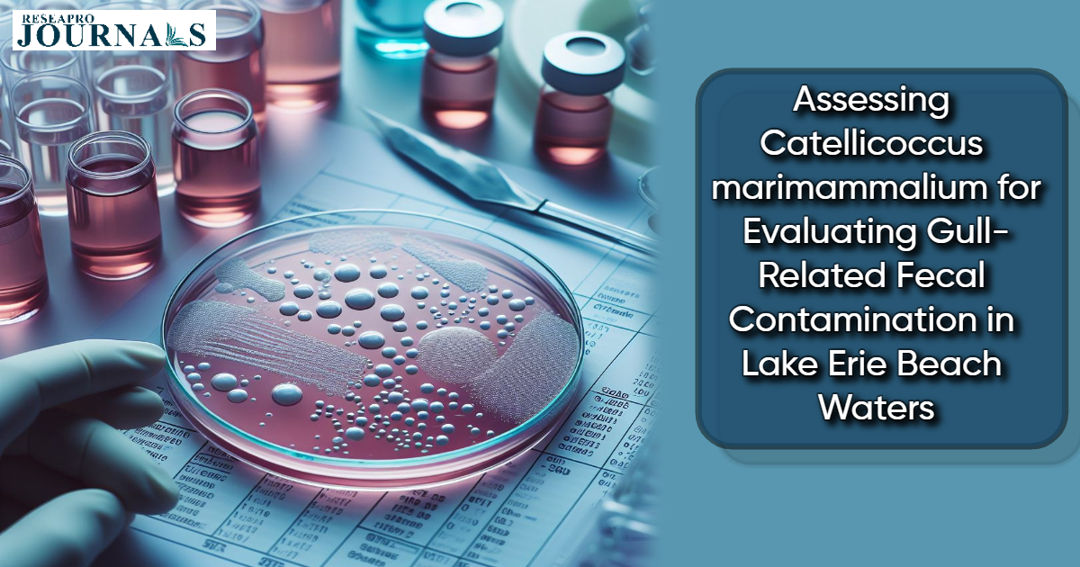 Assessing Catellicoccus marimammalium for Evaluating Gull-Related Fecal Contamination in Lake Erie Beach Waters