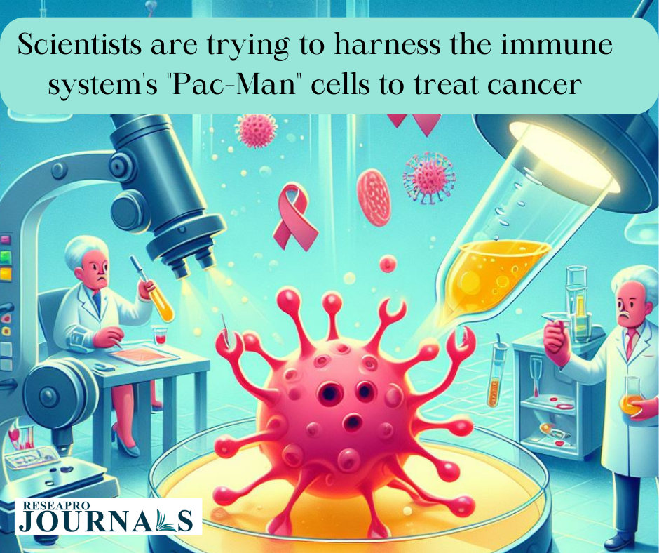 Scientists are trying to harness the immune system’s “Pac-Man” cells to treat cancer