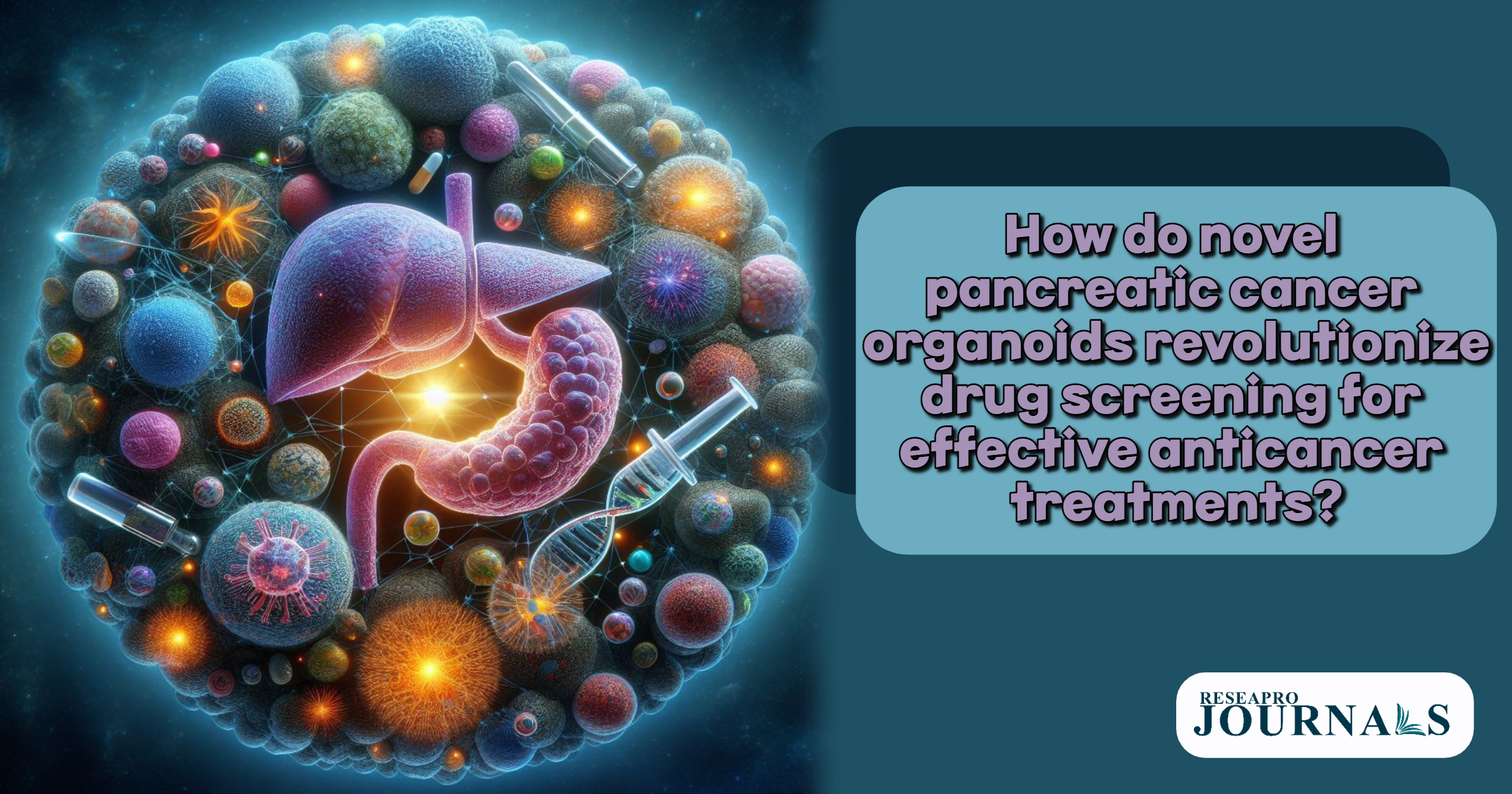 Pancreatic cancer organoids innovate drug screening for tailored treatments.