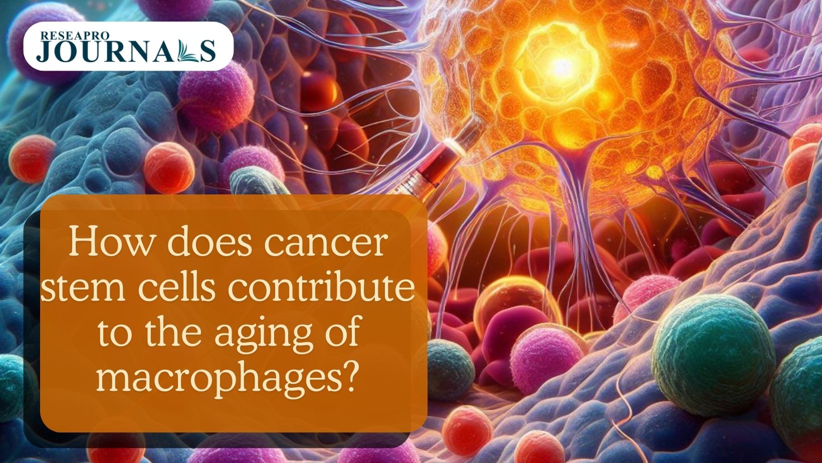 Cancer stem cells impact macrophage aging in tumors.
