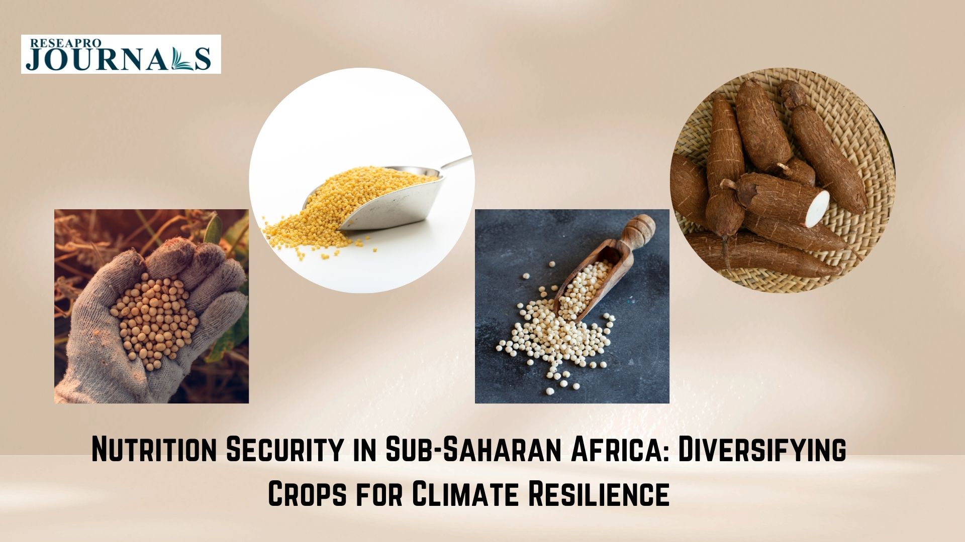 Nutrition Security in Sub-Saharan Africa: Diversifying Crops for Climate Resilience