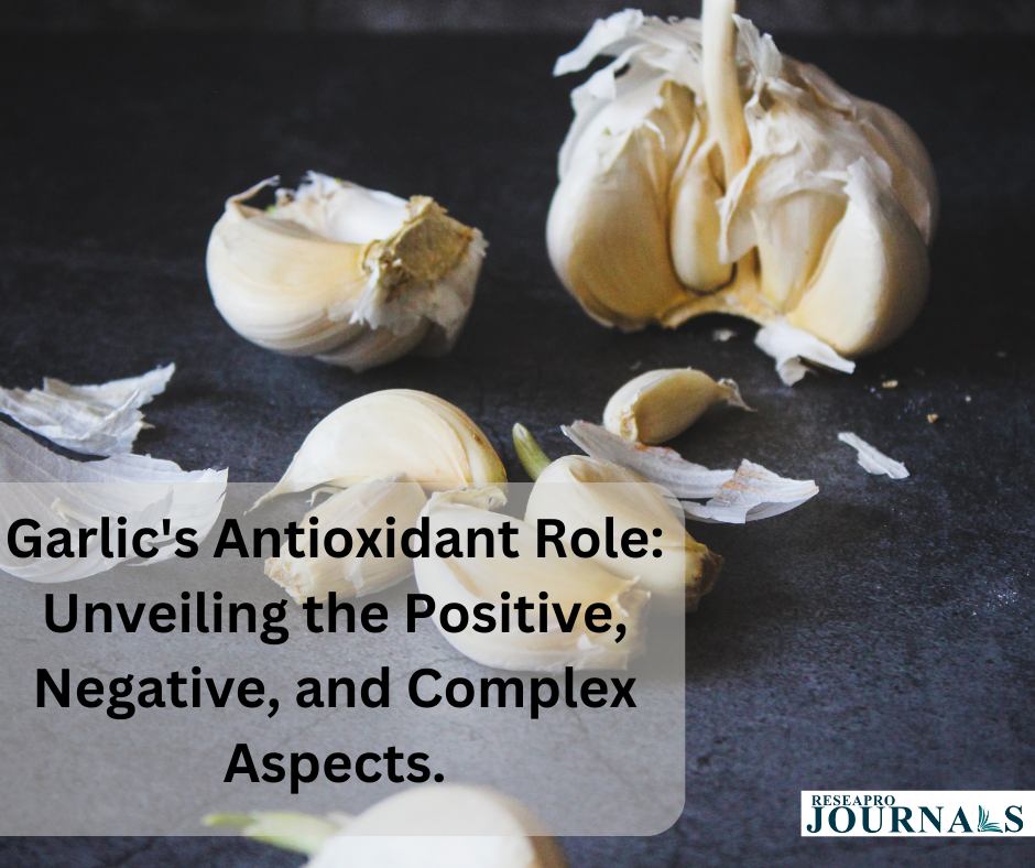 Garlic’s Antioxidant Role: Unveiling the Positive, Negative, and Complex Aspects.