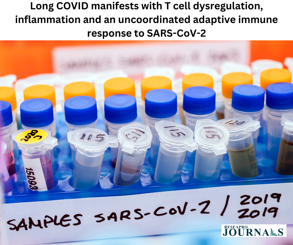 Long COVID manifests with T cell dysregulation, inflammation and an uncoordinated adaptive immune response to SARS-CoV-2