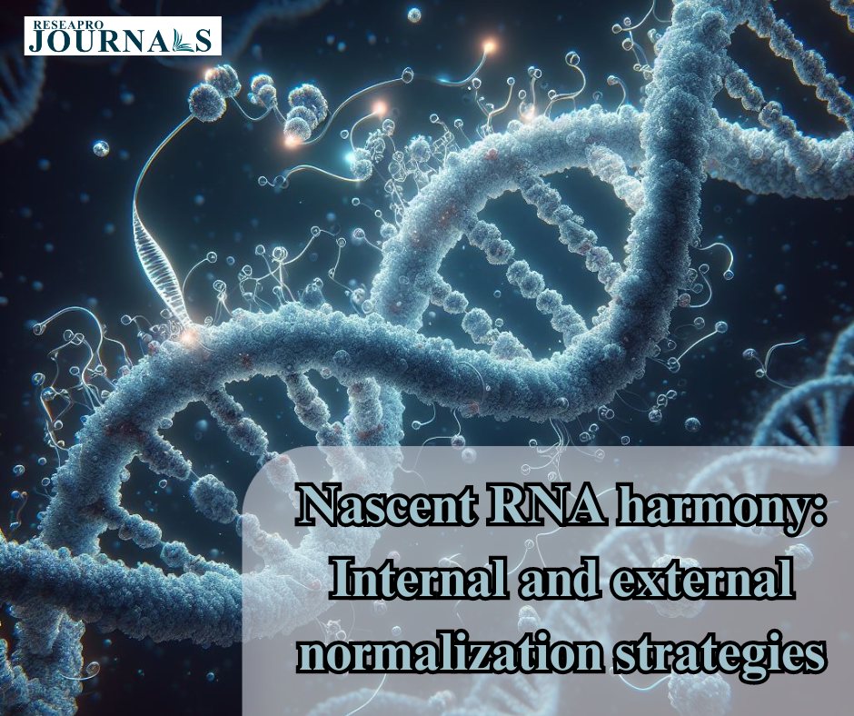 Nascent RNA harmony: Internal and external normalization strategies
