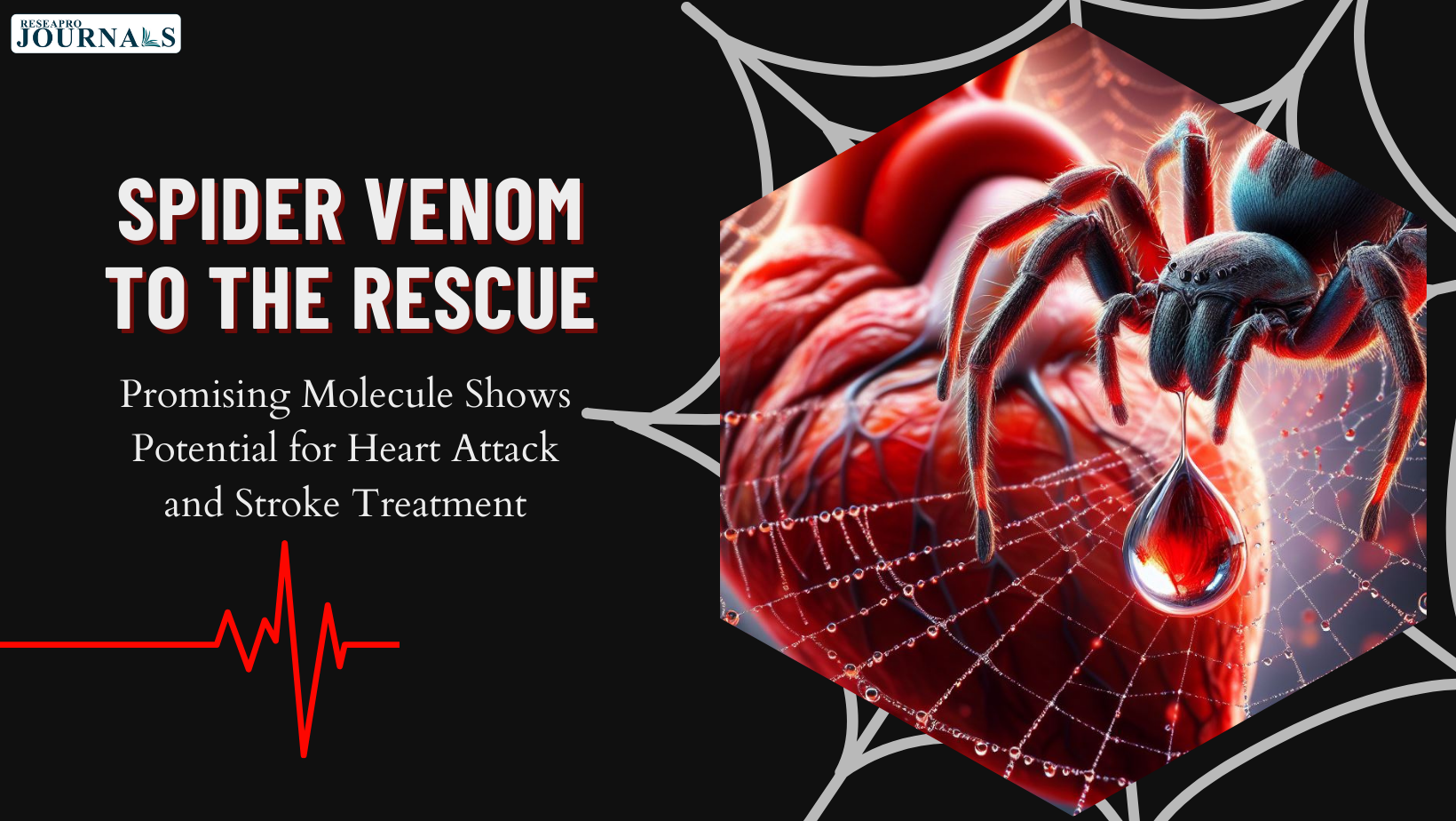 Spider Venom to the Rescue: Promising Molecule Shows Potential for Heart Attack and Stroke Treatment!
