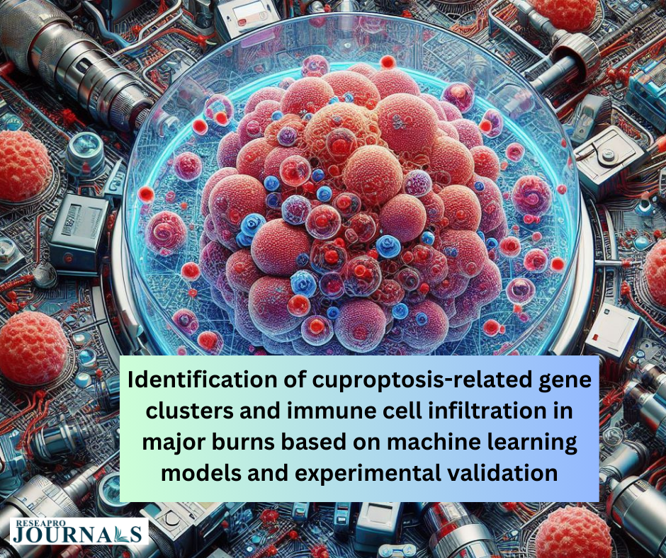 Identification of cuproptosis related gene clusters and immune cell infiltration in major burns based on machine learning models and experimental validation