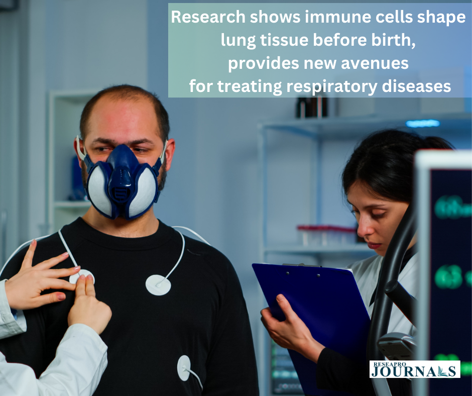 Research shows immune cells shape lung tissue before birth, provides new avenues for treating respiratory diseases