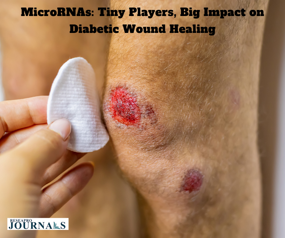 MicroRNAs: Tiny Players, Big Impact on Diabetic Wound Healing