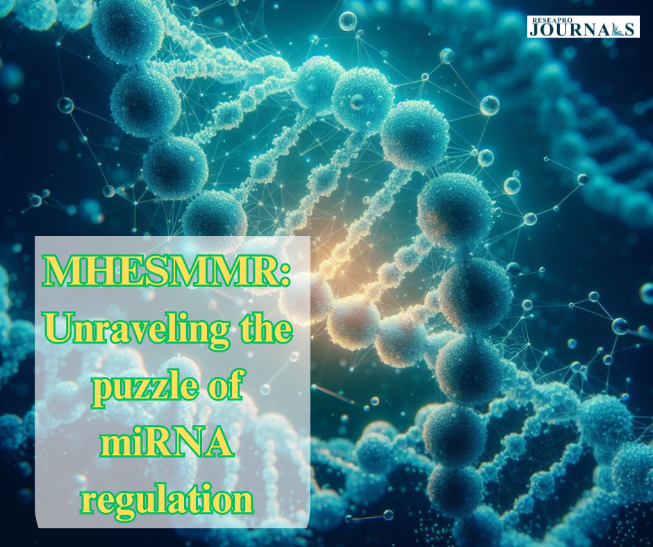MHESMMR: Unraveling the puzzle of miRNA regulation
