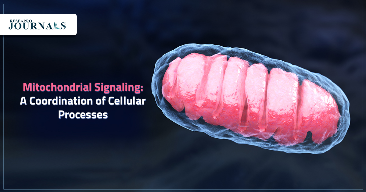 Mitochondrial Signaling: A Coordination of Cellular Processes