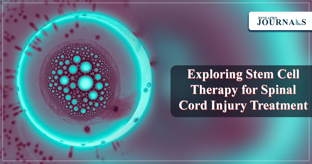 Exploring Stem Cell Therapy for Spinal Cord Injury Treatment