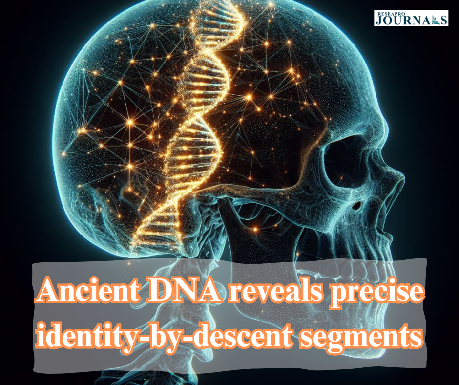 Ancient DNA reveals precise identity-by-descent segments