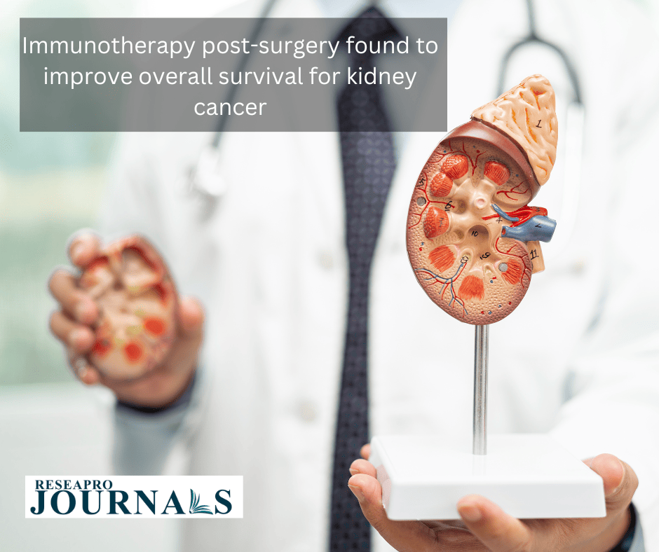 Immunotherapy post-surgery found to improve overall survival for kidney cancer