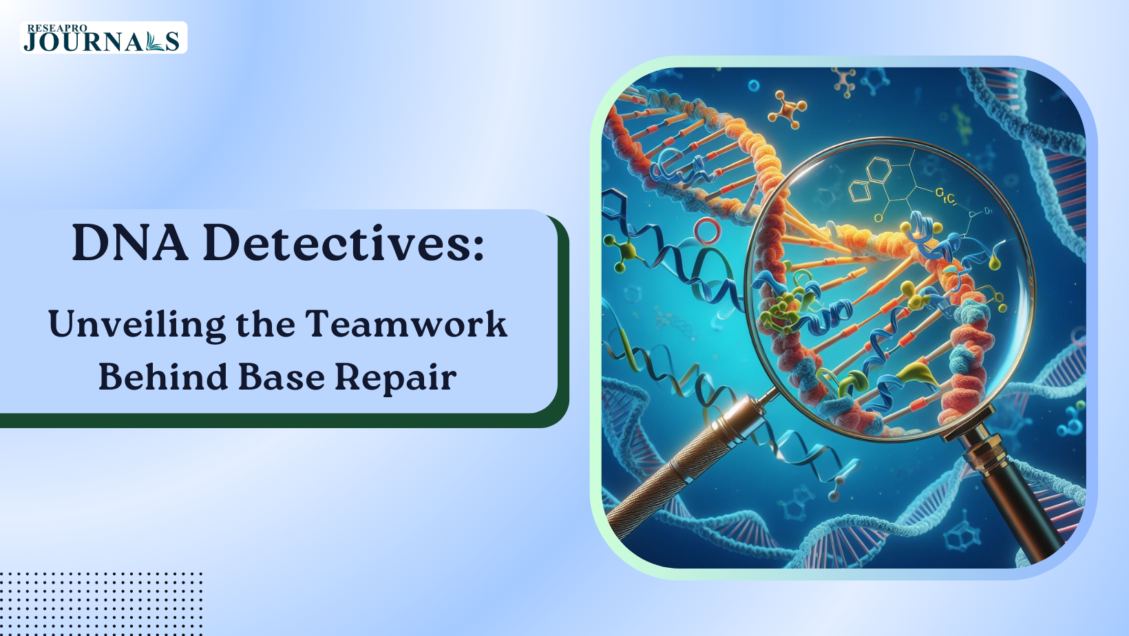 DNA Detectives: Unveiling the Teamwork Behind Base Repair