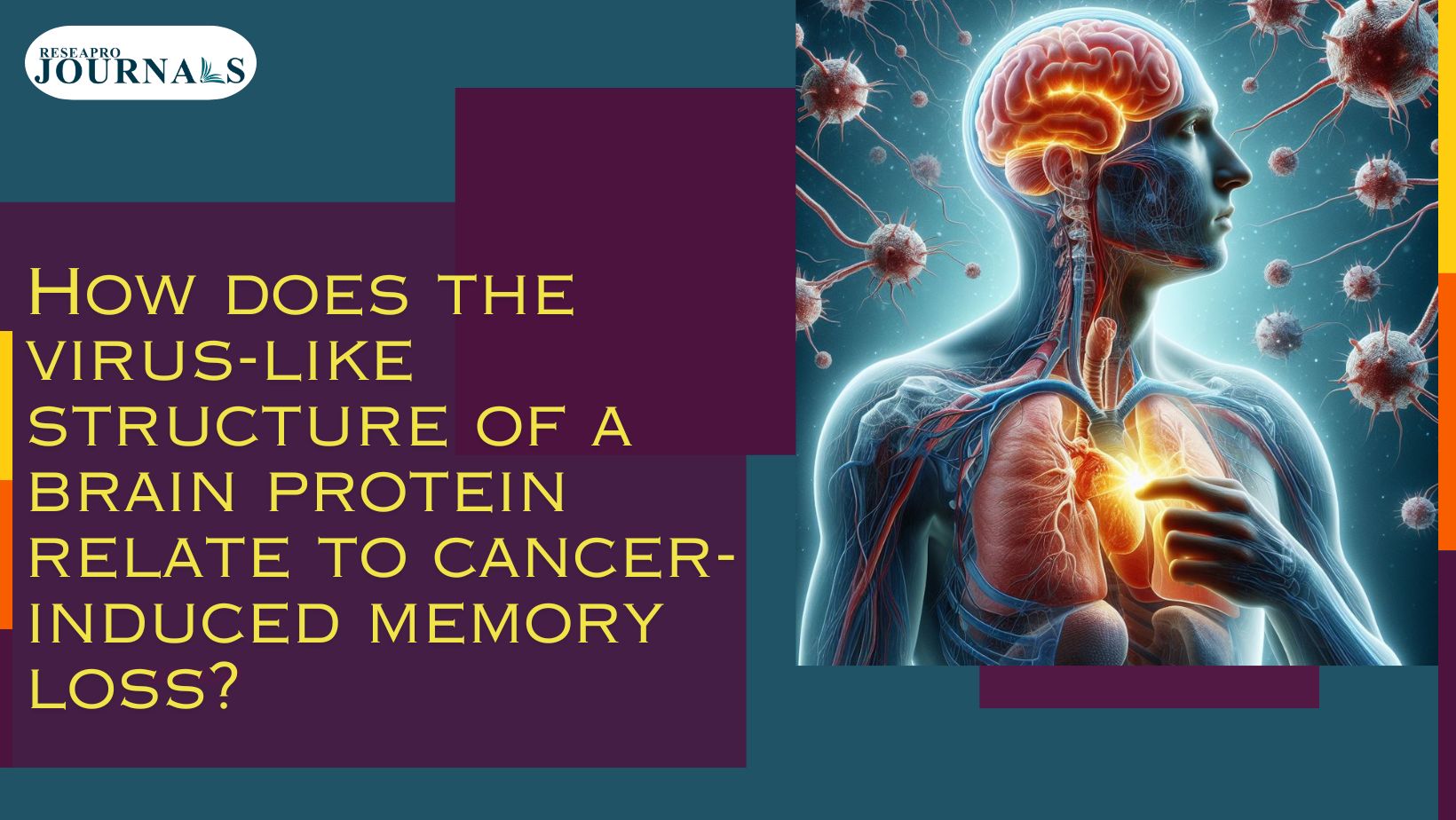 Cancer-induced memory loss linked to virus-like structure in brain protein.