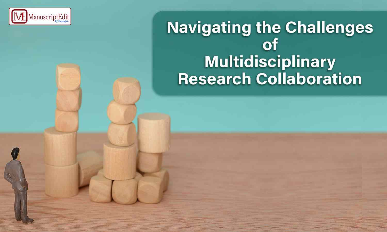 Navigating the Challenges of Multidisciplinary Research Collaboration